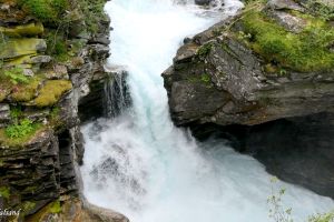 Fjord