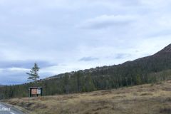 Buskerud - Flå - Fv287