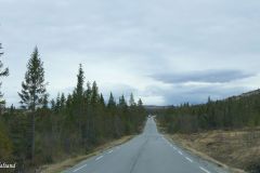 Buskerud - Flå - Fv287
