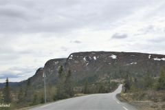 Buskerud - Flå - Fv287