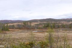 Buskerud - Flå - Fv287