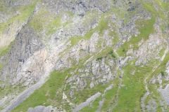 Nordland - Flakstad - Flakstadpollen