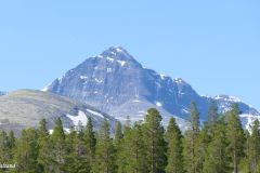 Innlandet - Folldal