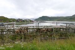Troms og Finnmark - Gamvik - Skjånes