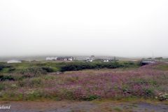 Troms og Finnmark - Gamvik - Mehamn lufthavn