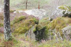 Rogaland - Gjesdal - Oltedal - Uburhelleren (Uburdhedlaren)