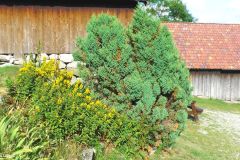 Rogaland - Gjesdal - Limagarden