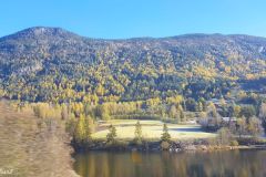 Buskerud - Gol