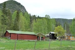 Buskerud - Gol