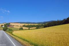 Innlandet - Gran - Langs veien