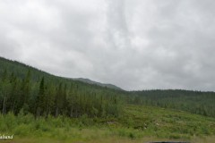 Nordland - Grane - Langs E6