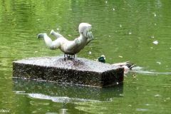 Rogaland - Hå - Nærbø - Fugleparken - Skulptur