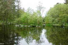 Rogaland - Hå - Nærbø - Fugleparken