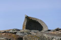 Rogaland - Hå - Obrestad havn - Skulptur - Konvoi (Elisabeth Jarstø, 1999) - Jærkysten
