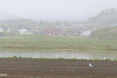Rogaland - Hå - Ogna - Ognaelva