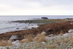 Rogaland - Hå - Fuglevika - Steinen Hesten - Jærkysten