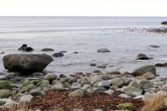 Rogaland - Hå - Fuglevika - Steinene Sadelen og Hesten - Jærkysten