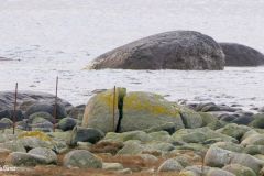 Rogaland - Hå - Sør for Kvassheim - Jærkysten