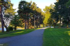 Innlandet - Hamar - Langs Mjøsa
