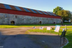 Innlandet - Hamar - Domkirkeodden - Storhamarlåven
