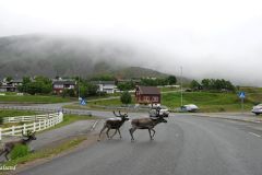 Troms og Finnmark - Hammerfest - Rypefjord - Rv94