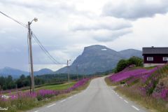 Buskerud - Hemsedal - Panoramavegen - Lykkja - Skogshorn