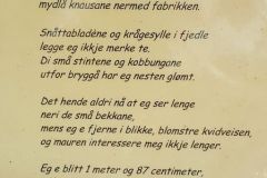 Rogaland - Hjelmeland - Eventyrskogen i Årdal
