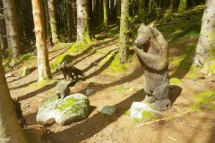 Rogaland - Hjelmeland - Eventyrskogen i Årdal