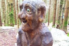 Rogaland - Hjelmeland - Eventyrskogen i Årdal