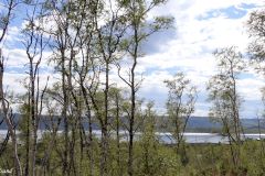 Buskerud - Hol