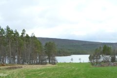 Buskerud - Hol - Skurdalsfjorden