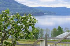 Buskerud - Hole - Tyrifjorden