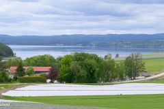 Buskerud - Hole - Tyrifjorden