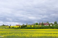 Buskerud - Hole