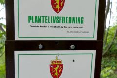 Vestfold - Horten - Karljohansvern - Hortenskogen