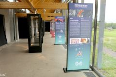 Vestfold - Horten - Borre - Midgard vikingsenter