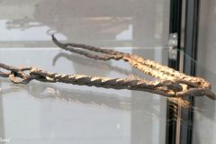 Vestfold - Horten - Borre - Midgard vikingsenter
