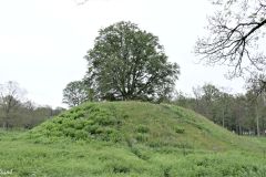 Vestfold - Horten - Borre - Borrehaugene