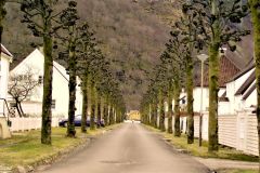 Sogn og Fjordane - Høyanger - Boligområdet Parken med Kloumanns Allé