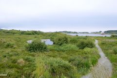 Møre og Romsdal - Hustadvika - Atlanterhavsveien - Fv64 - Hågå