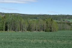 Østfold - Indre Østfold - Trøgstad