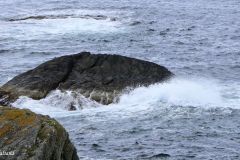 Rogaland - Karmøy - Beiningen