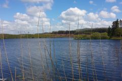 Rogaland - Klepp - Frøylandsvatnet