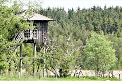 Rogaland - Klepp - Øksnevadskogen