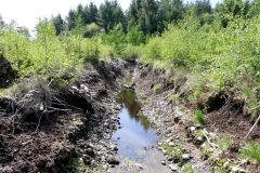 Rogaland - Klepp - Øksnevadskogen