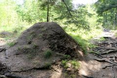 Rogaland - Klepp - Øksnevadskogen