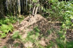 Rogaland - Klepp - Øksnevadskogen