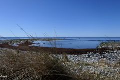 Rogaland - Klepp - Revtangen - Jærkysten