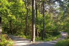 Agder - Kristiansand - Baneheia
