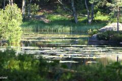 Agder - Kristiansand - Baneheia - Kristianiafjorden